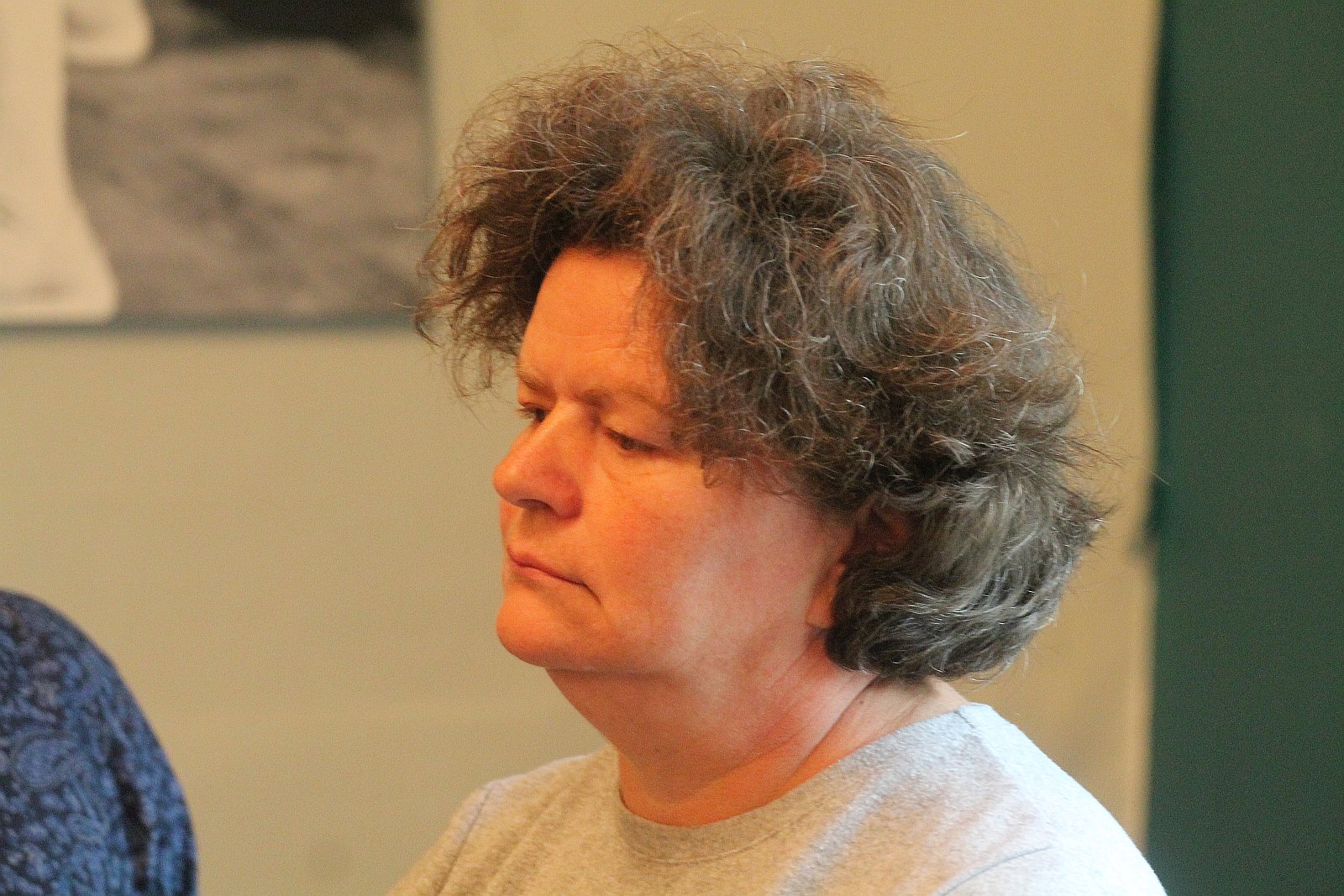 Spotkaniu wokół książki Cristiana Teodorescu 