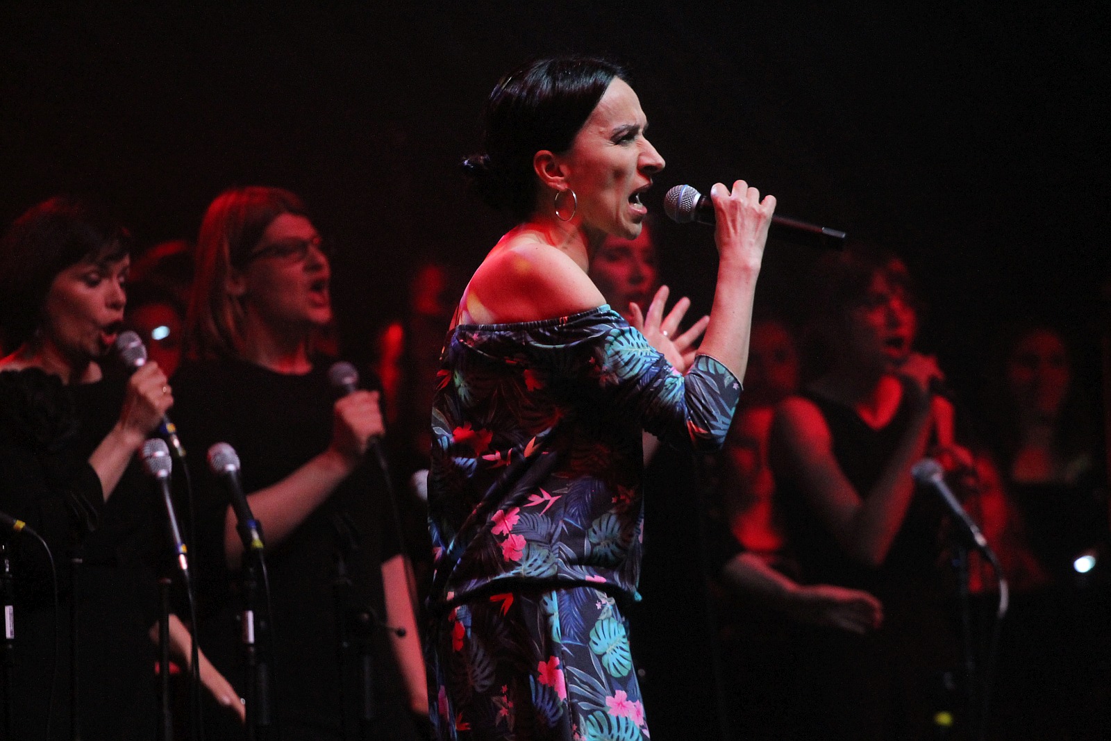 Niezwykły pełen gwiazd koncert na dziedzińcu Akademii Rycerskiej