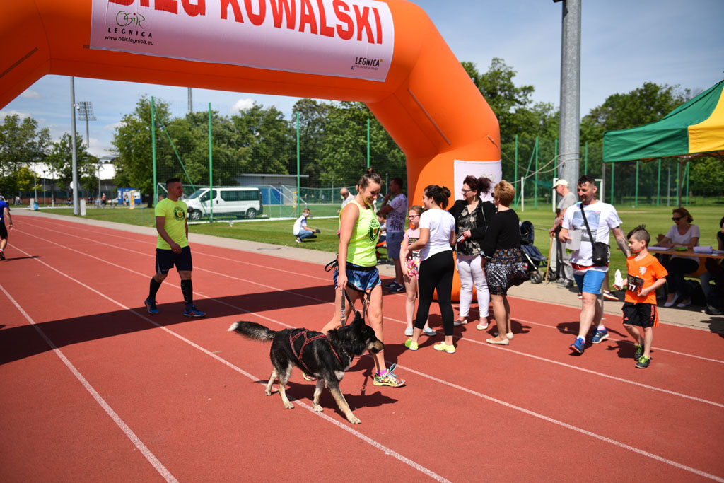 Pobiegli na dystansie jednej Mili Kowalskiej