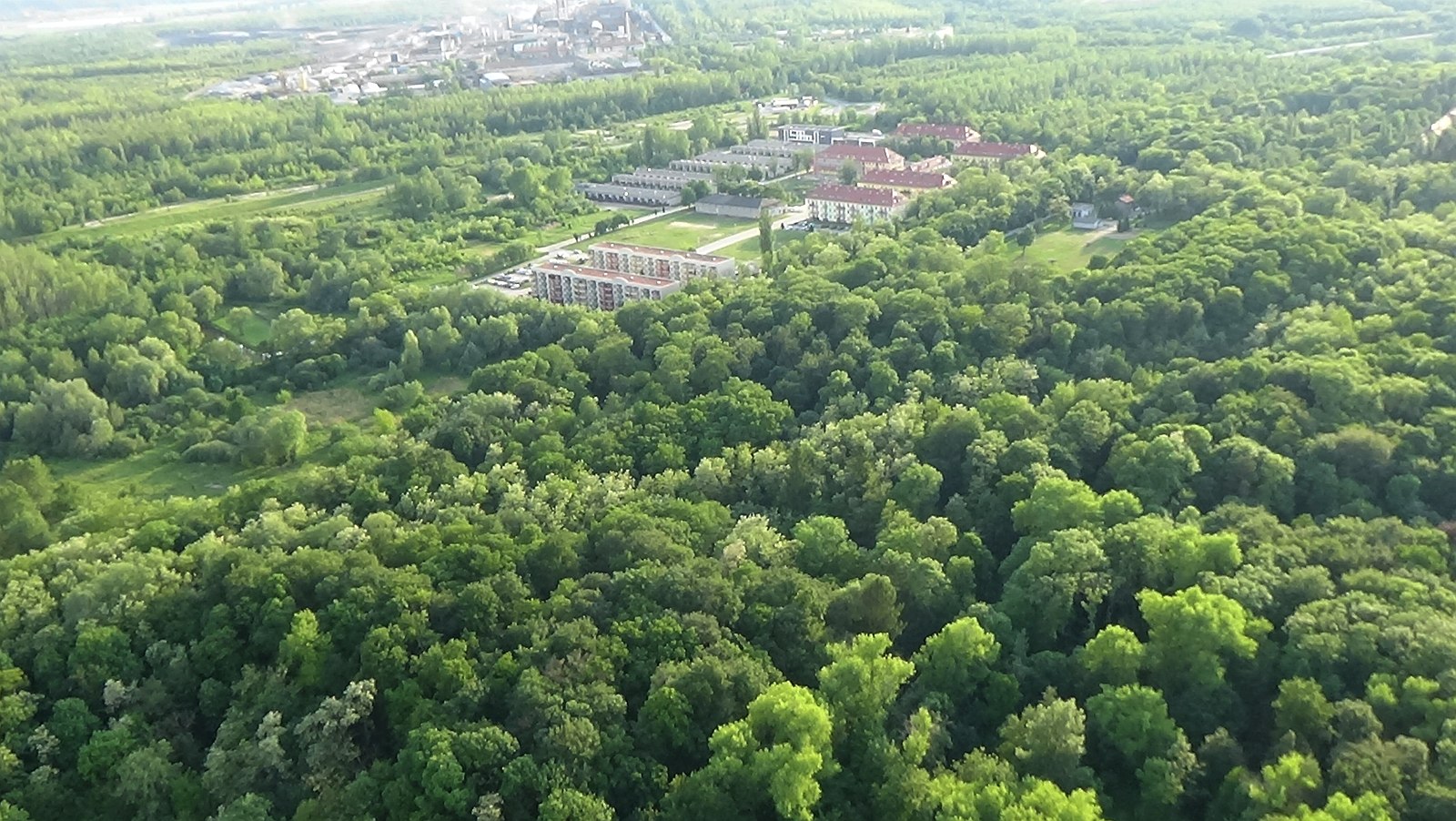 Zielona Legnica widziana okiem aparatu AnTonio. Zobacz galerię