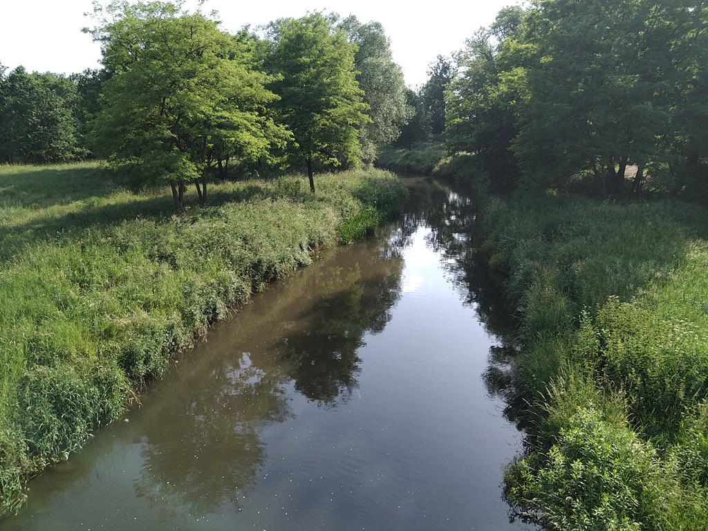 Brodecki i Pundyk przewodnikami spaceru po Przybkowie