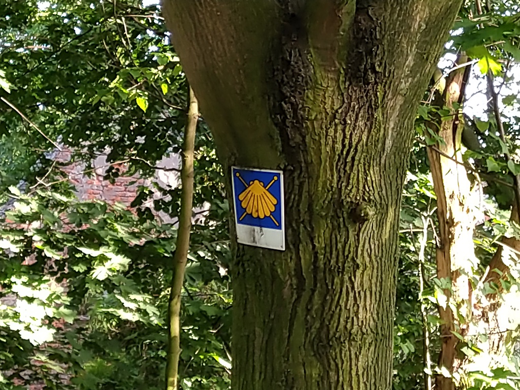 Brodecki i Pundyk przewodnikami spaceru po Przybkowie