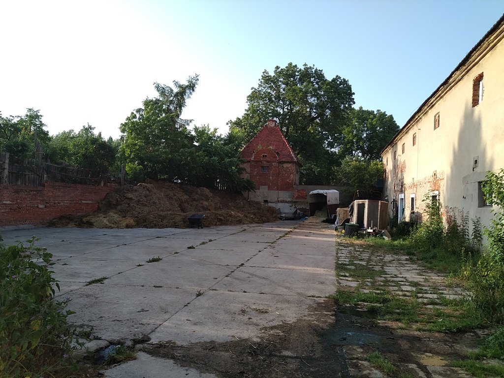 Brodecki i Pundyk przewodnikami spaceru po Przybkowie