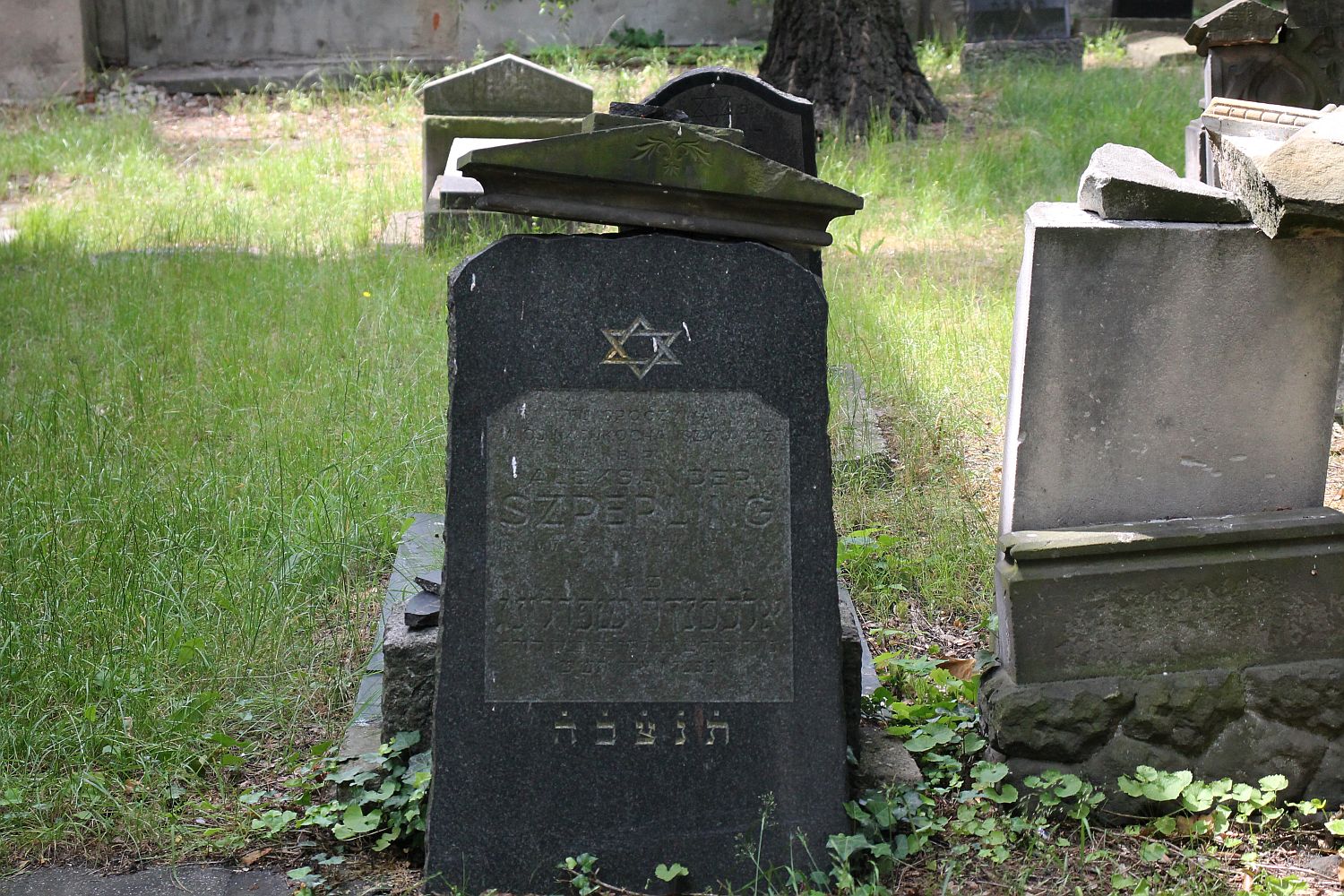 Legnickie Spacery Historyczne: Na legnickim kirkucie