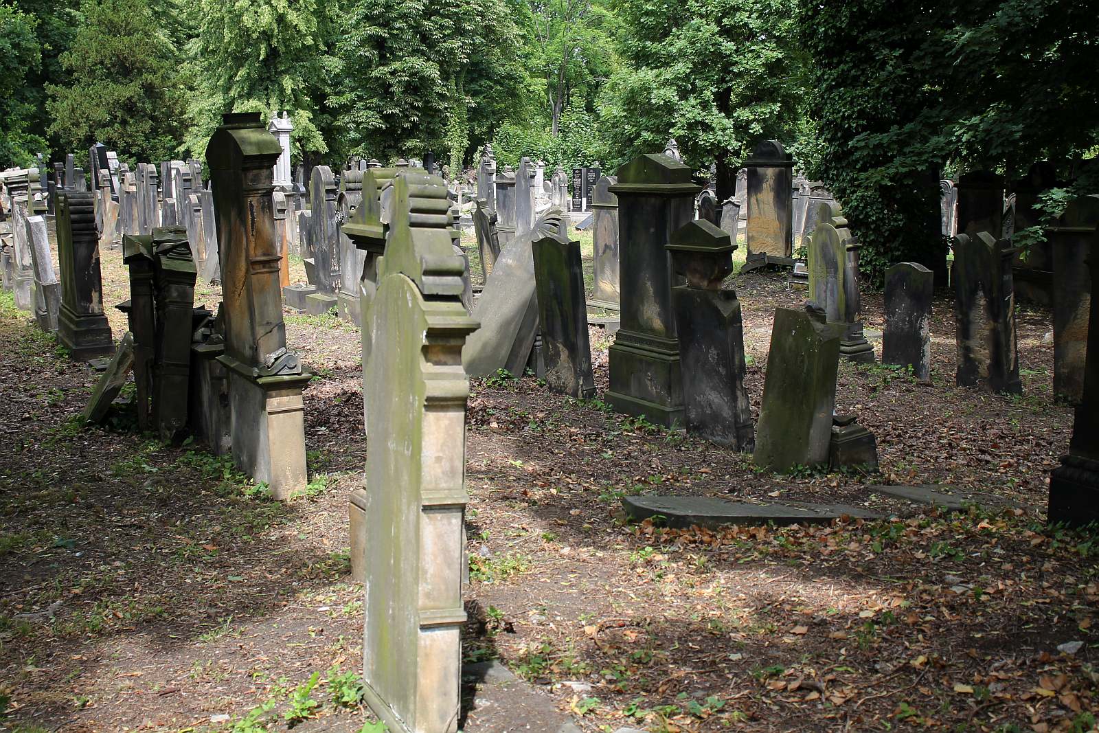 Legnickie Spacery Historyczne: Na legnickim kirkucie