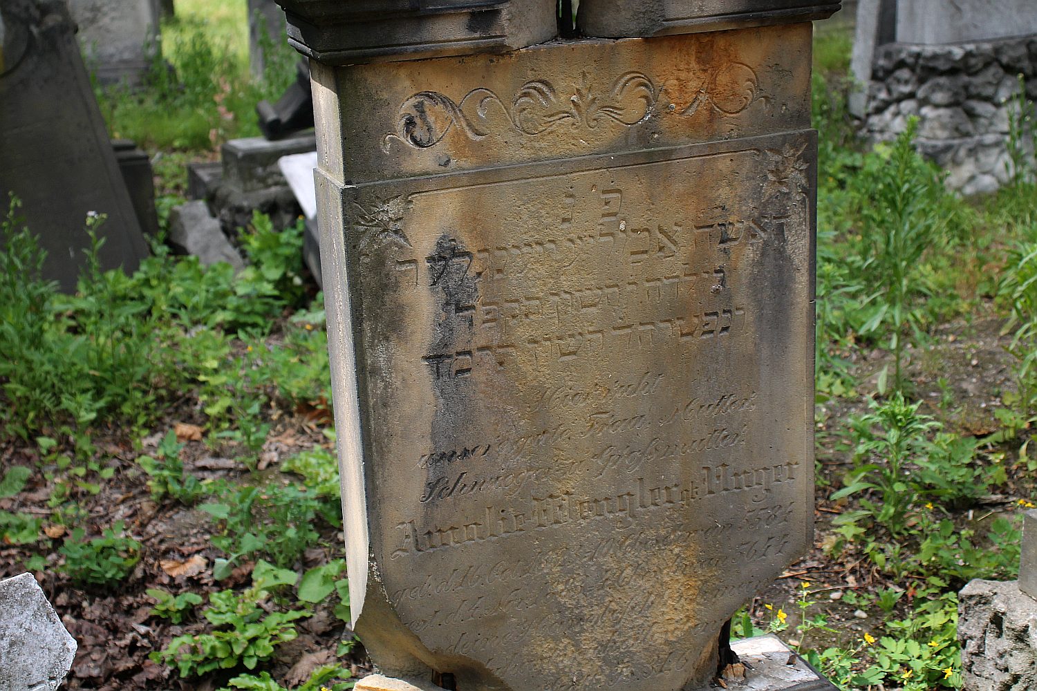 Legnickie Spacery Historyczne: Na legnickim kirkucie