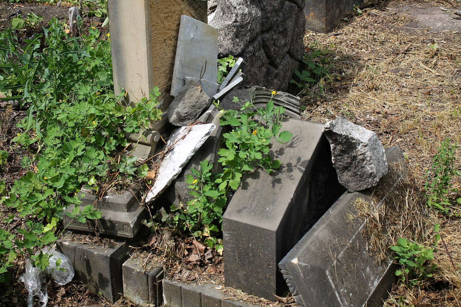 Legnickie Spacery Historyczne: Na legnickim kirkucie