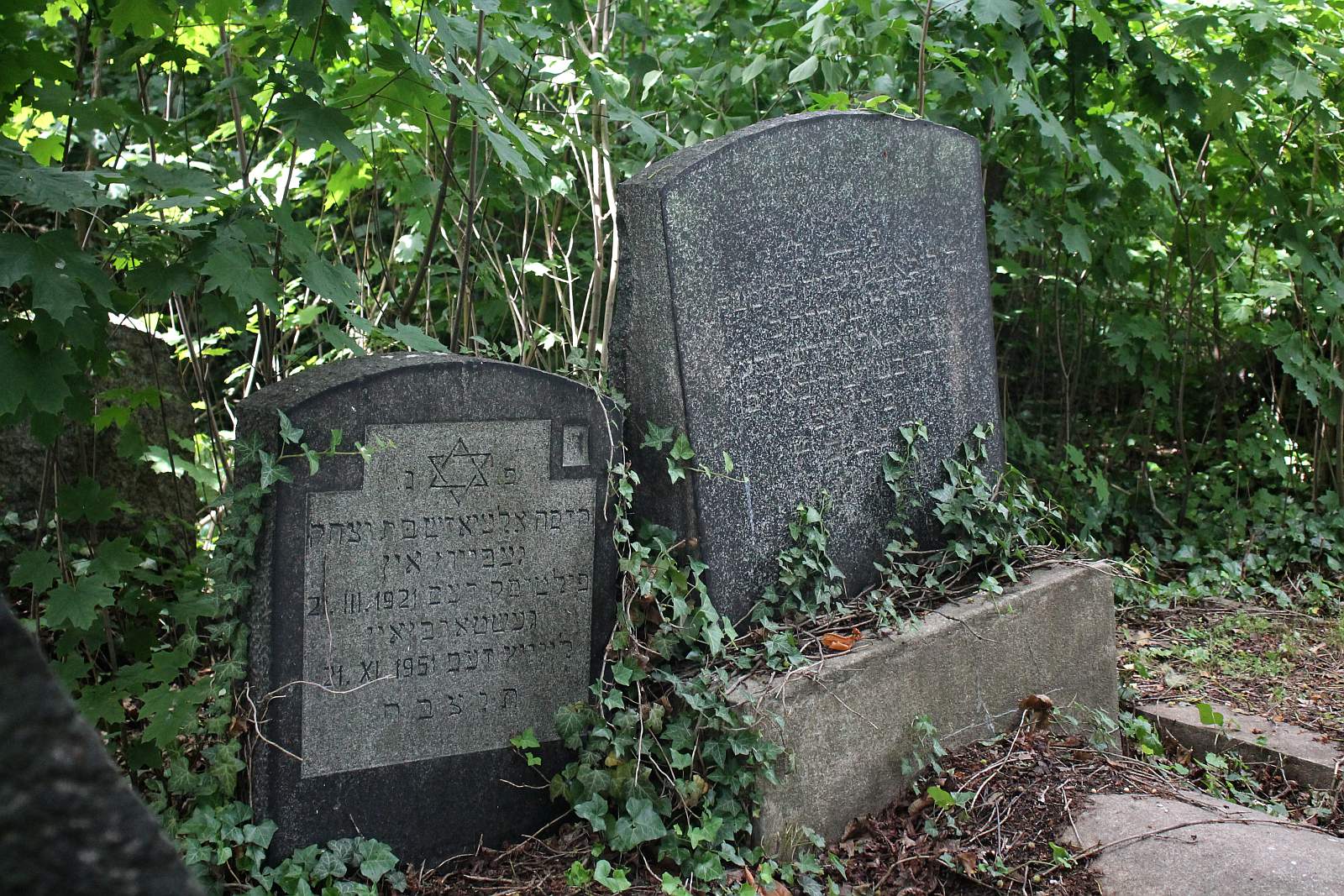 Legnickie Spacery Historyczne: Na legnickim kirkucie