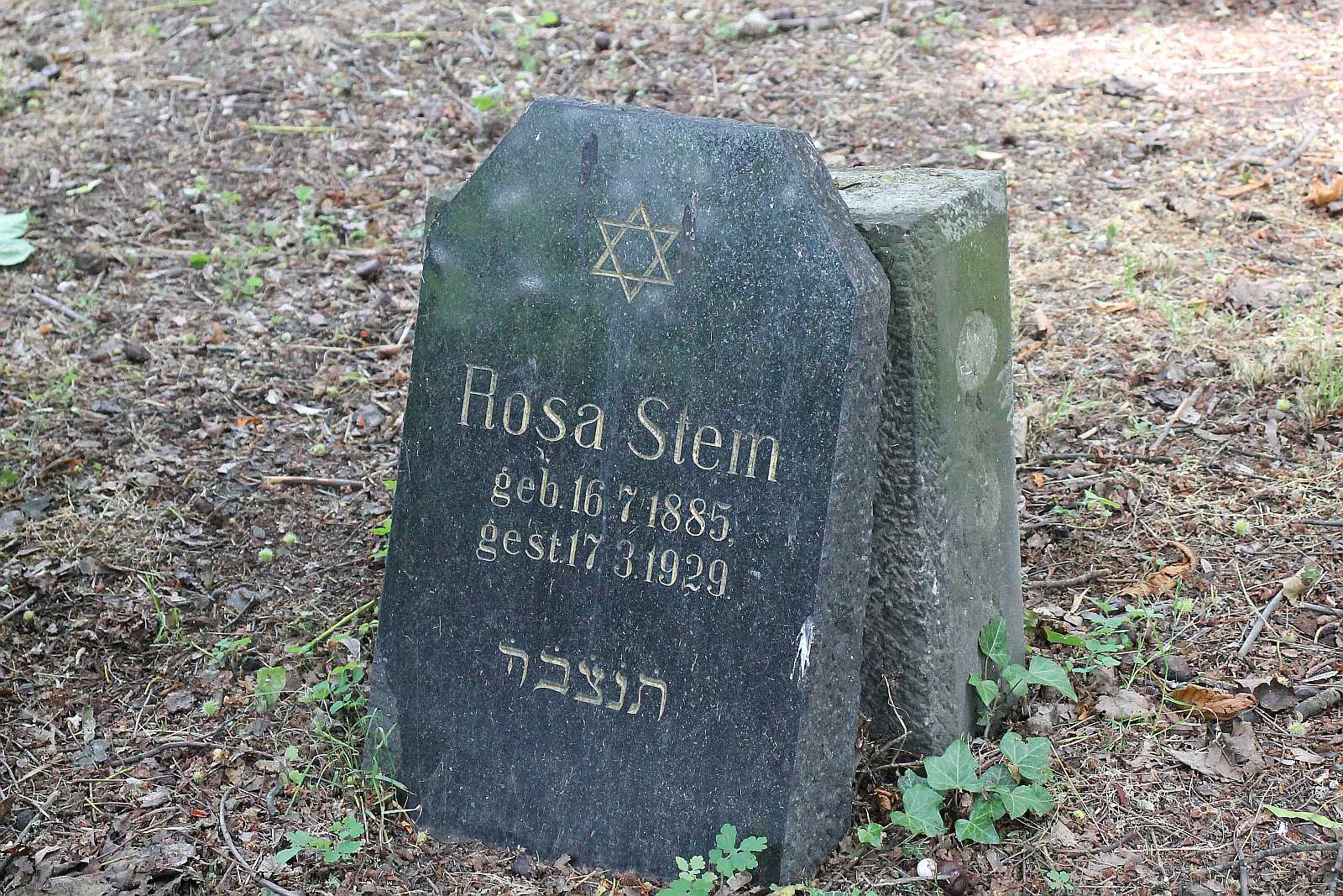 Legnickie Spacery Historyczne: Na legnickim kirkucie