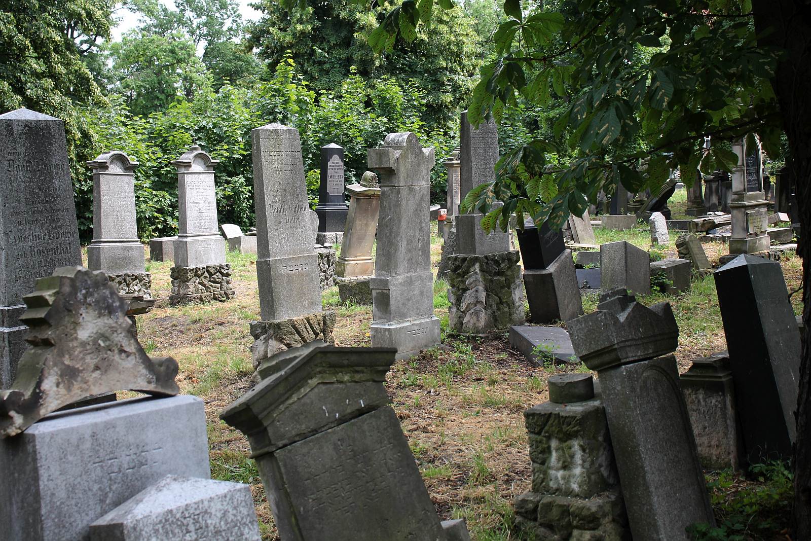 Legnickie Spacery Historyczne: Na legnickim kirkucie