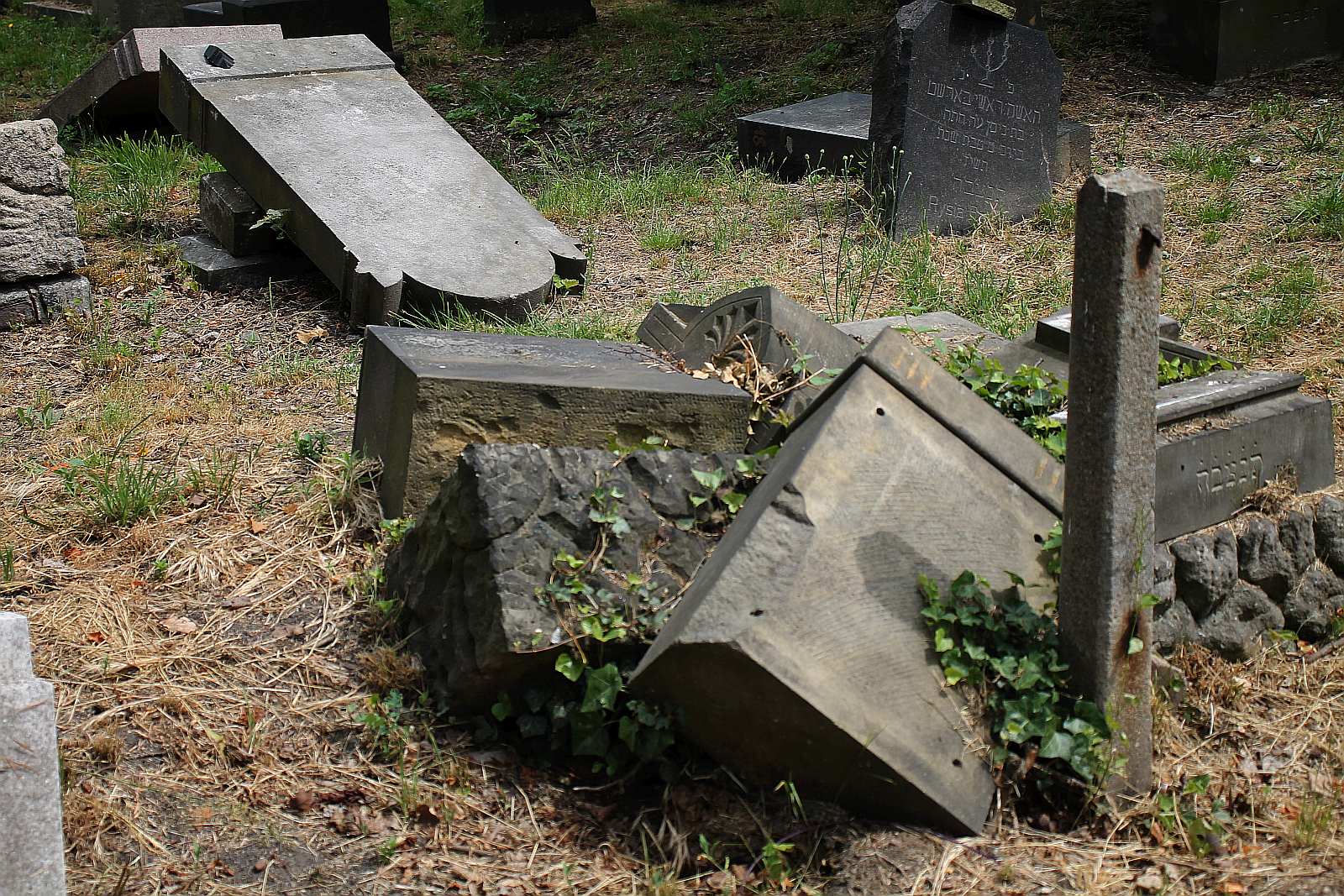 Legnickie Spacery Historyczne: Na legnickim kirkucie