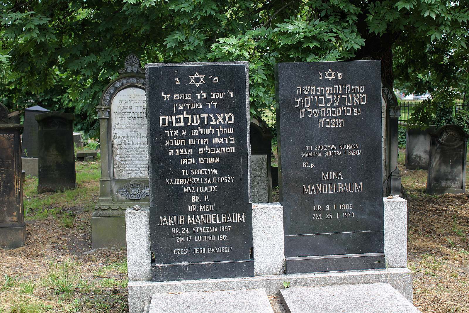 Legnickie Spacery Historyczne: Na legnickim kirkucie