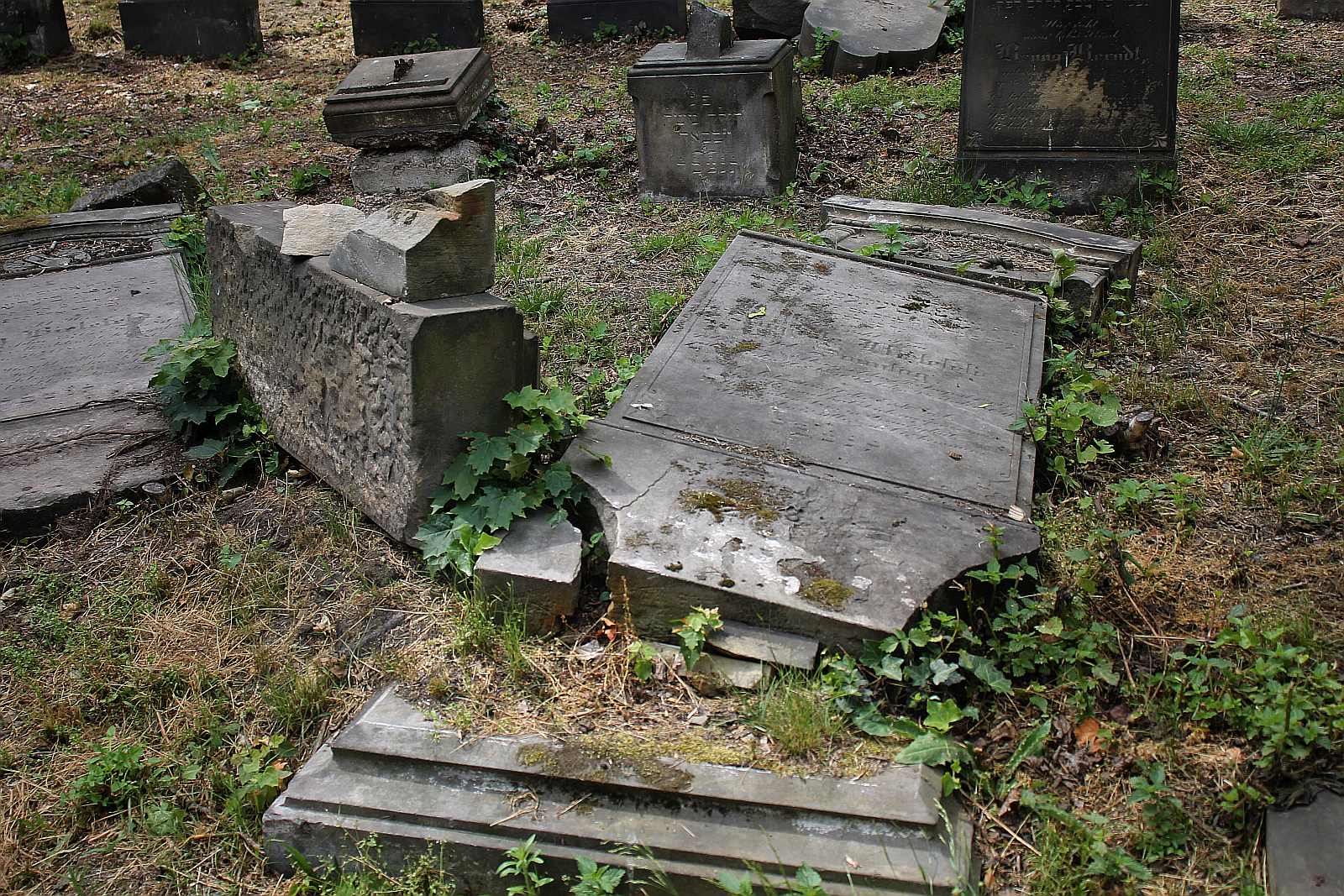 Legnickie Spacery Historyczne: Na legnickim kirkucie