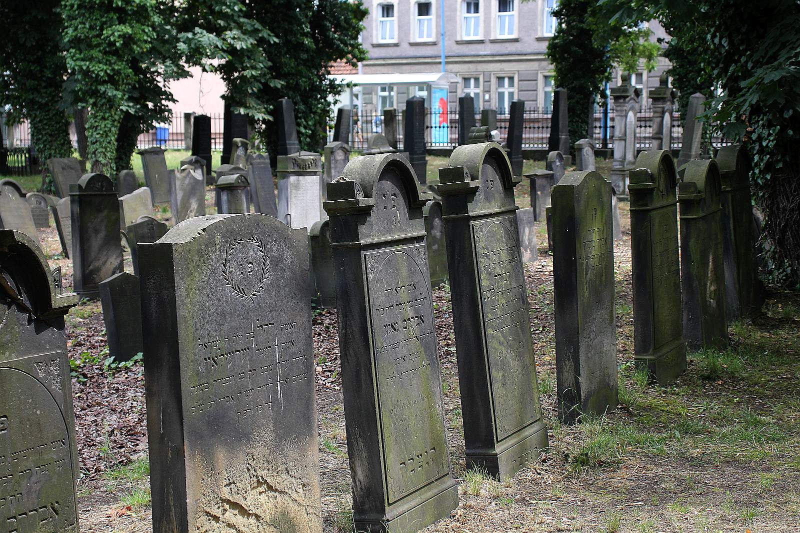 Legnickie Spacery Historyczne: Na legnickim kirkucie