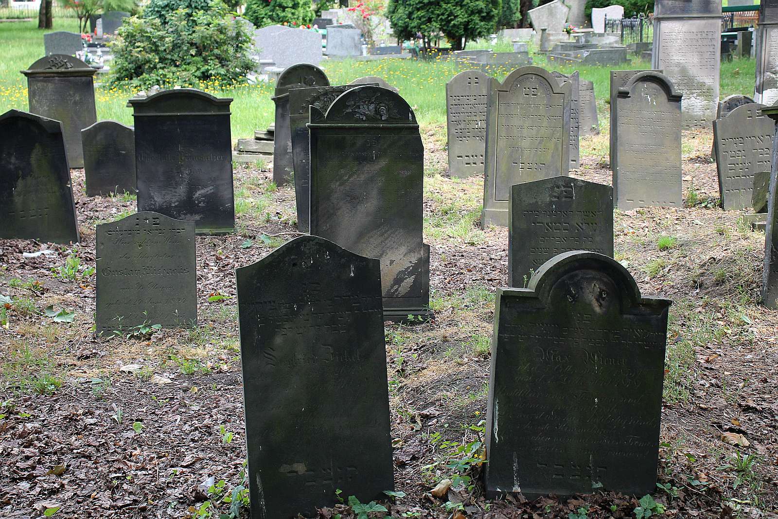 Legnickie Spacery Historyczne: Na legnickim kirkucie