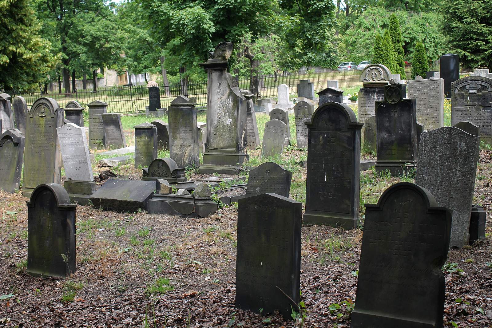 Legnickie Spacery Historyczne: Na legnickim kirkucie