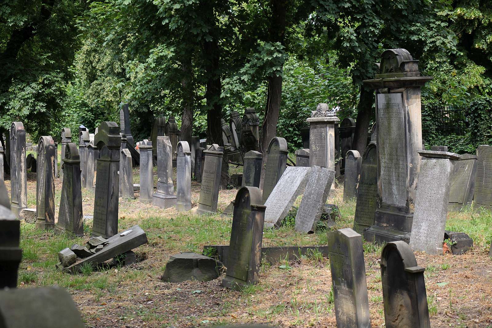 Legnickie Spacery Historyczne: Na legnickim kirkucie