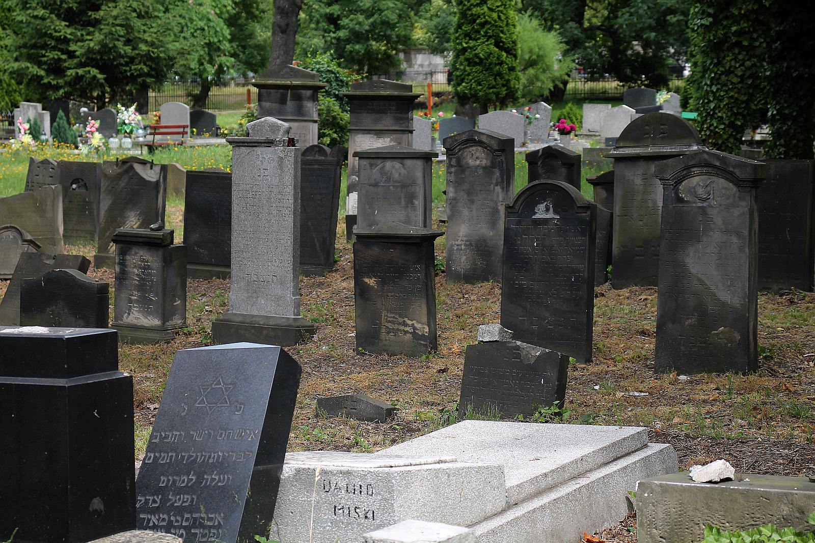 Legnickie Spacery Historyczne: Na legnickim kirkucie