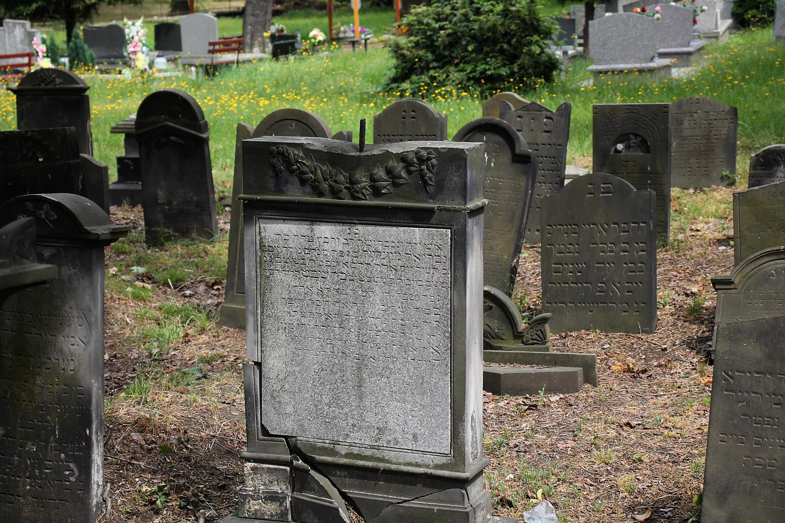 Legnickie Spacery Historyczne: Na legnickim kirkucie