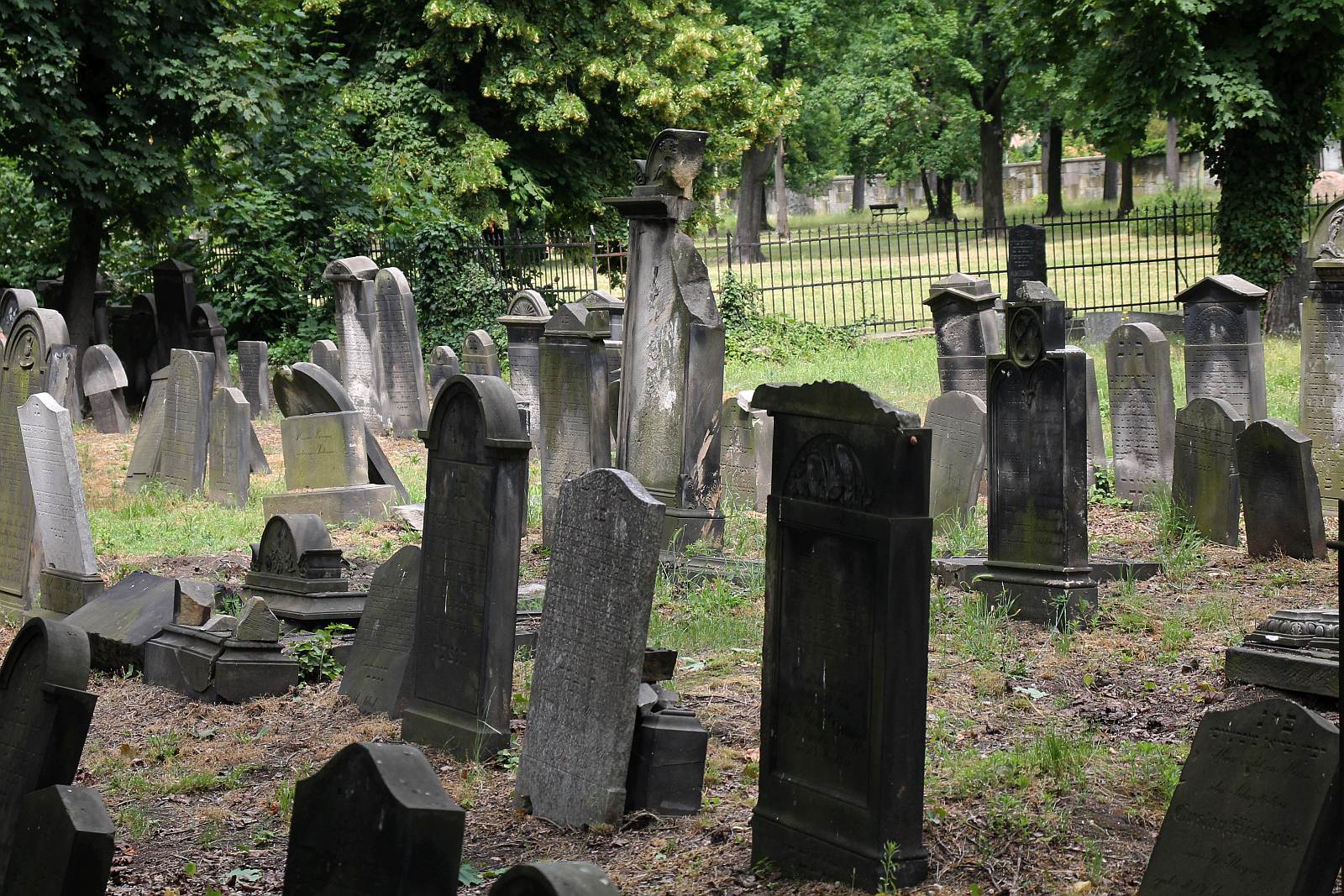 Legnickie Spacery Historyczne: Na legnickim kirkucie