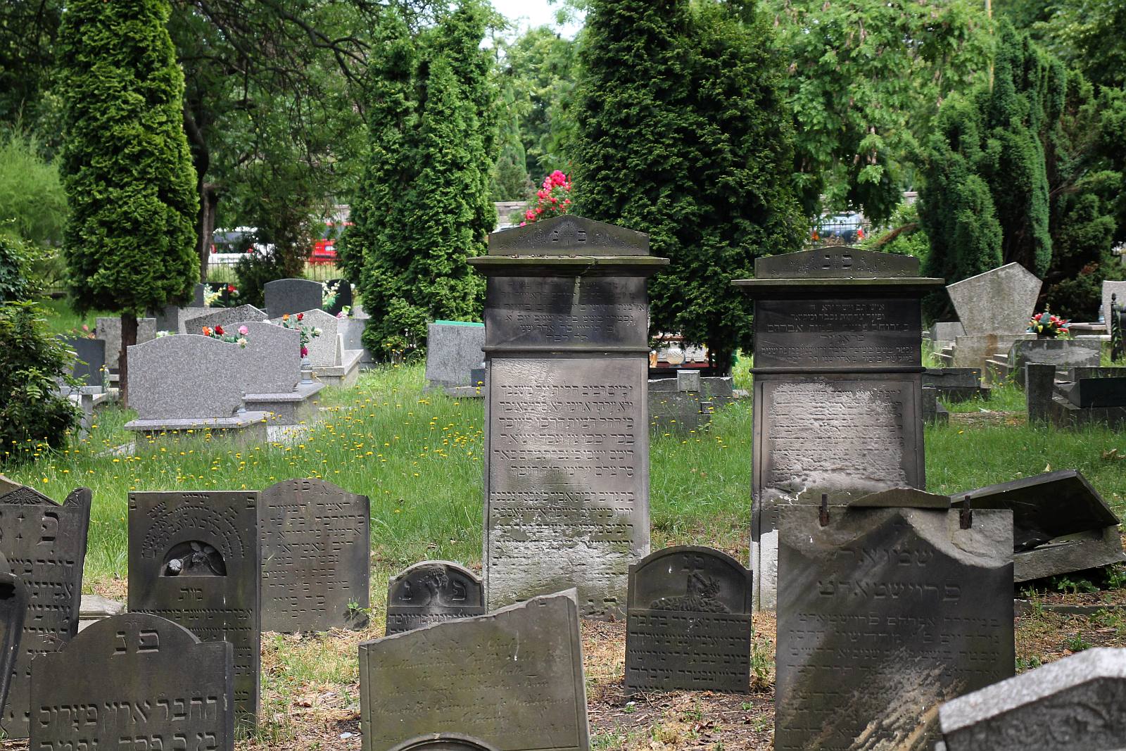 Legnickie Spacery Historyczne: Na legnickim kirkucie