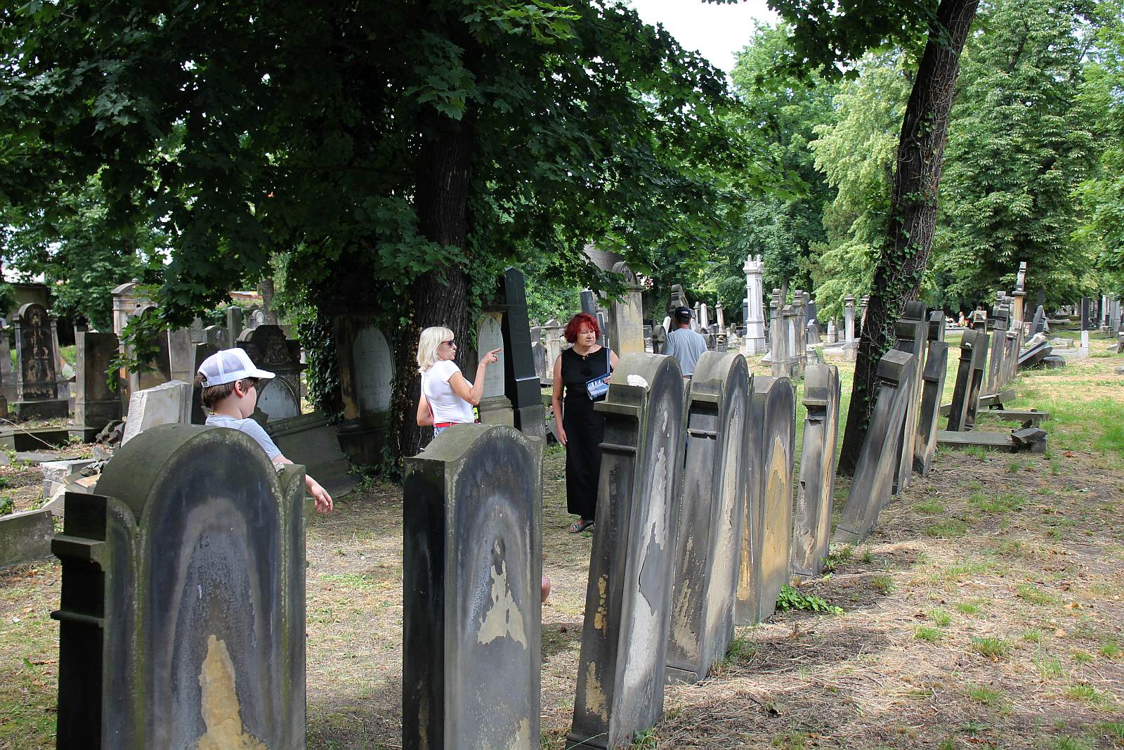 Legnickie Spacery Historyczne: Na legnickim kirkucie