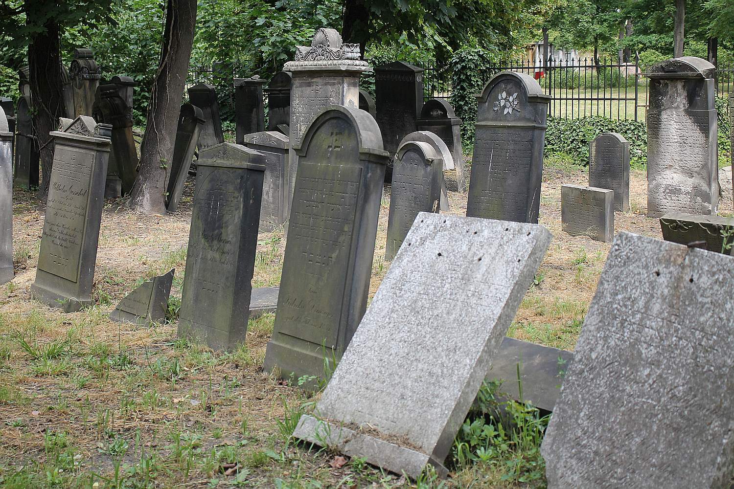 Legnickie Spacery Historyczne: Na legnickim kirkucie