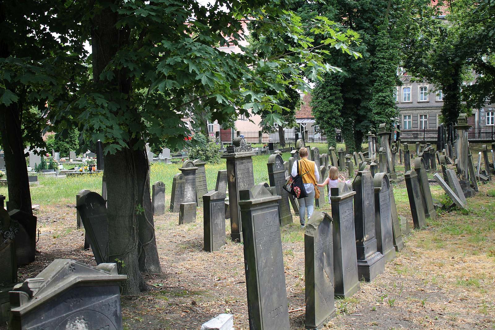 Legnickie Spacery Historyczne: Na legnickim kirkucie