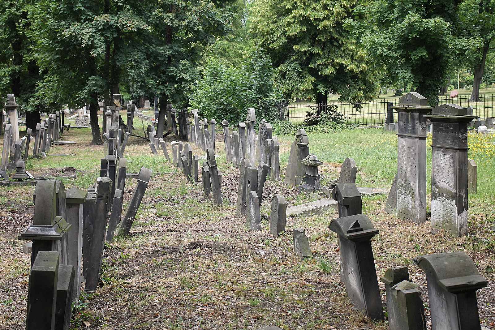 Legnickie Spacery Historyczne: Na legnickim kirkucie