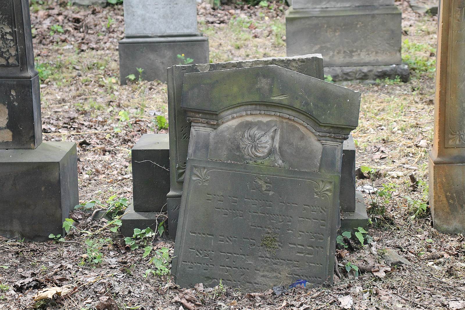 Legnickie Spacery Historyczne: Na legnickim kirkucie