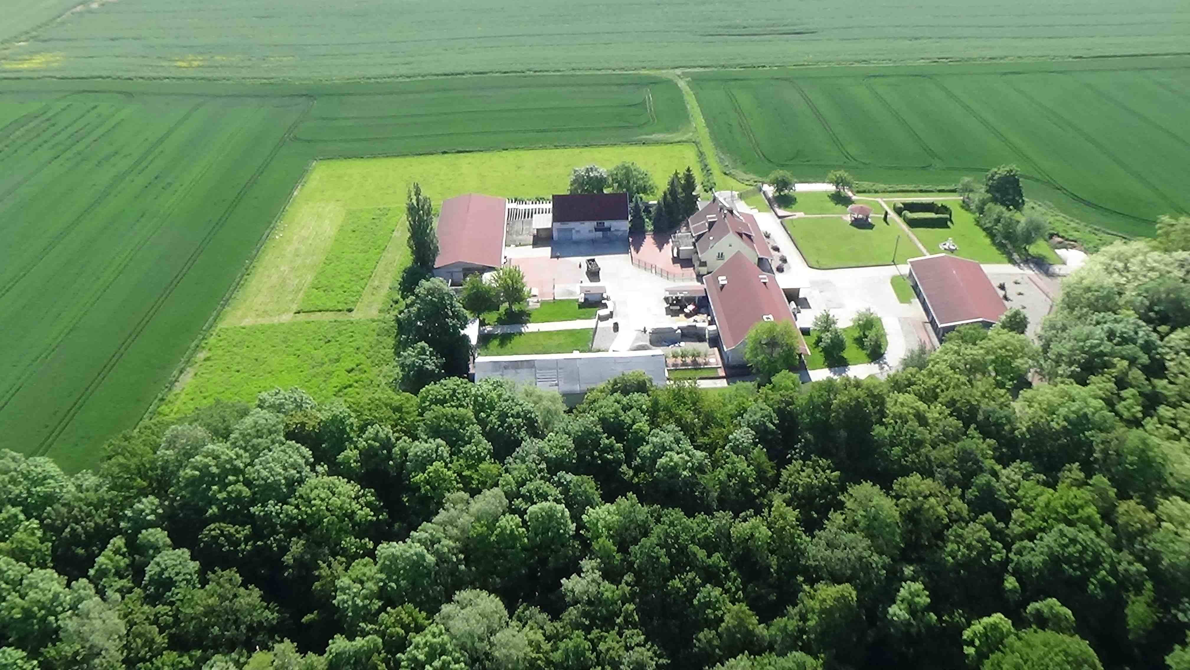 Czarnków z lotu ptaka. Zobacz jak wygląda wioska     
