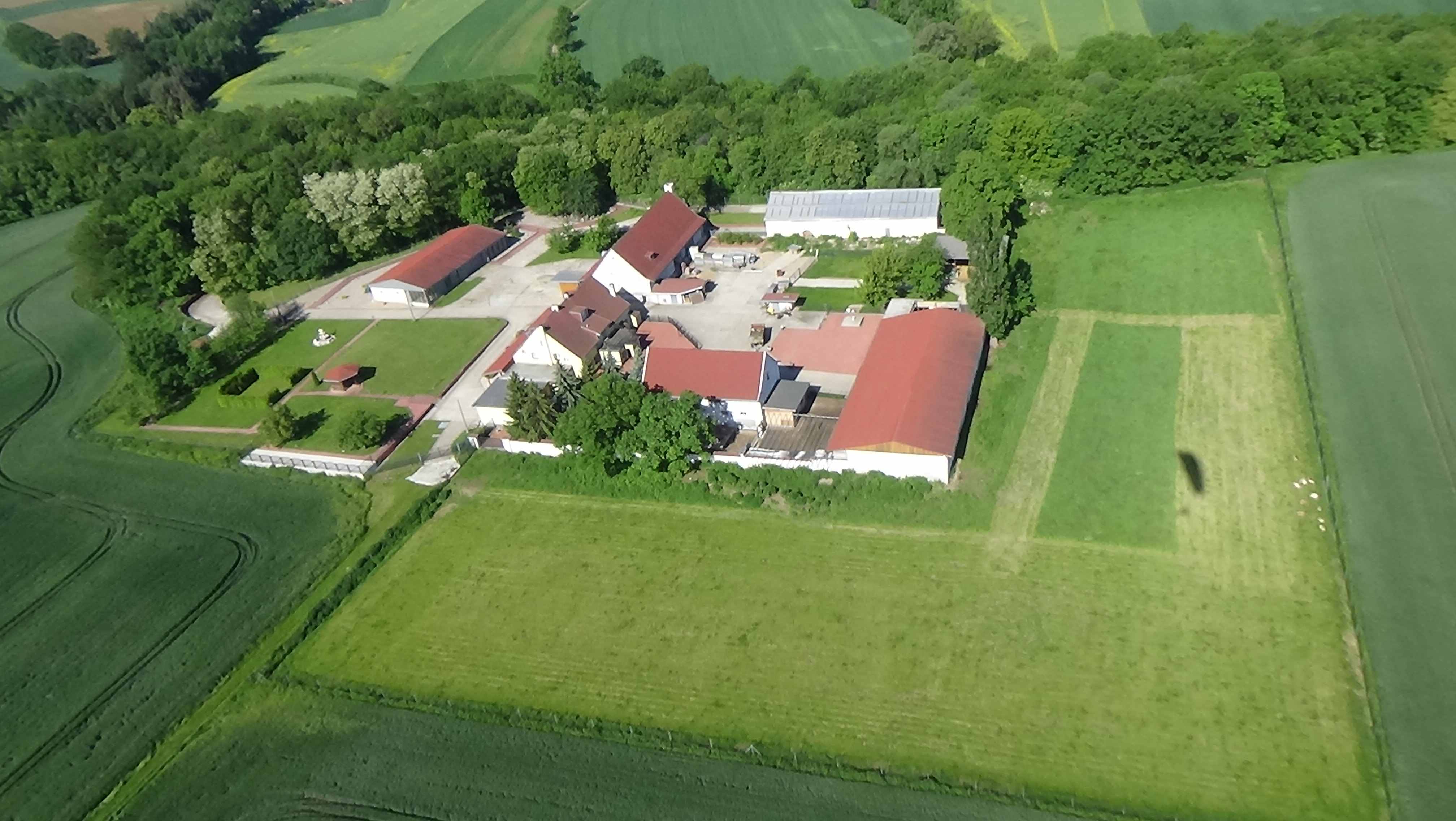 Czarnków z lotu ptaka. Zobacz jak wygląda wioska     
