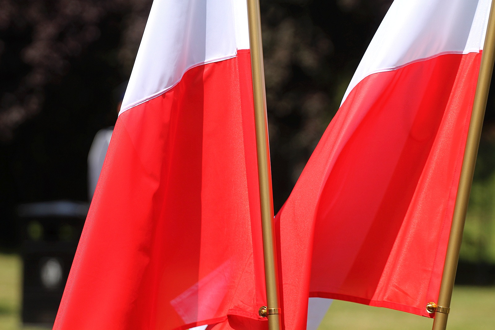 Dęby Pamięci poległych policjantów będą rosły w Parku Bielańskim