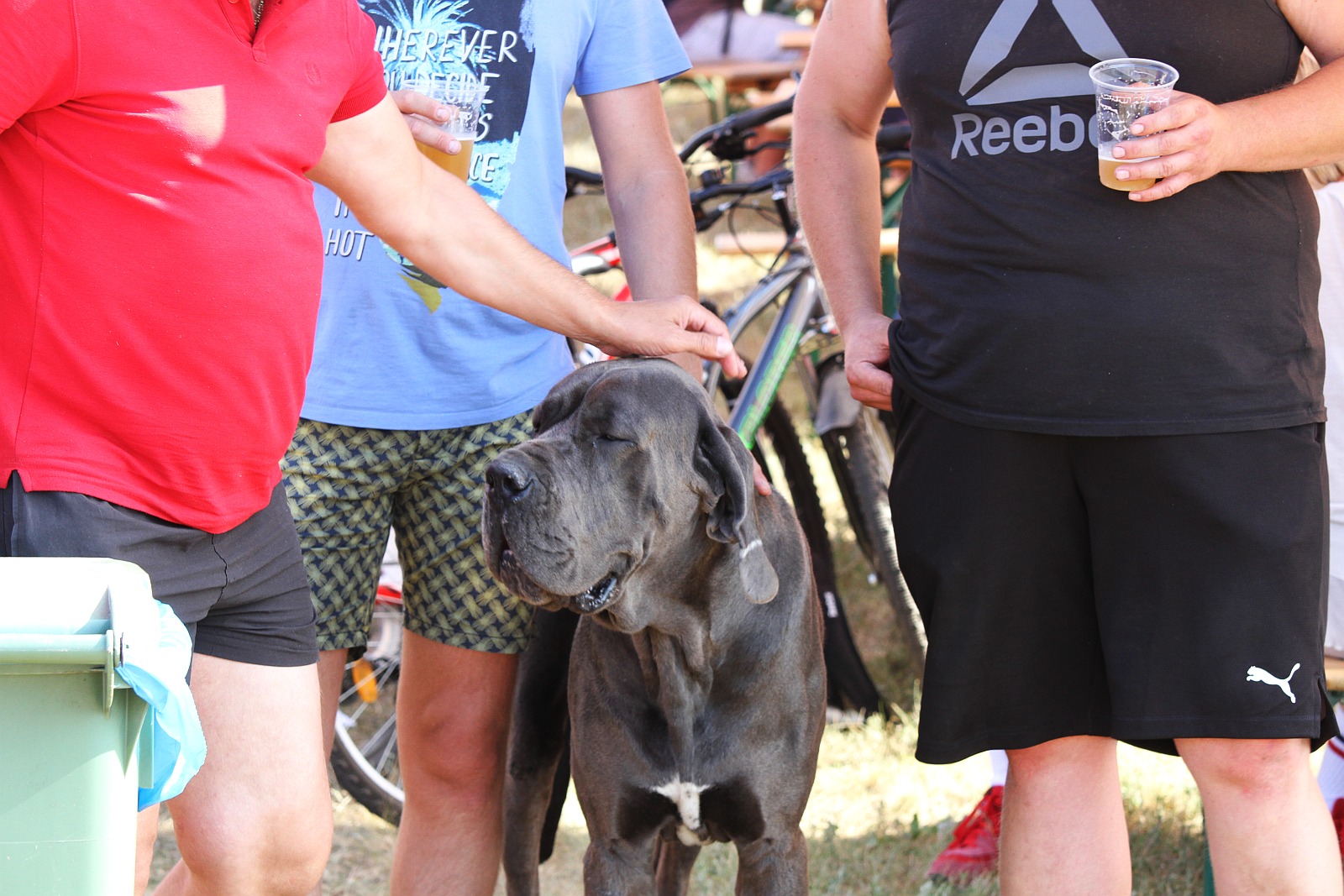 Święto Legnicy to nie tylko koncerty, także lunapark i katering