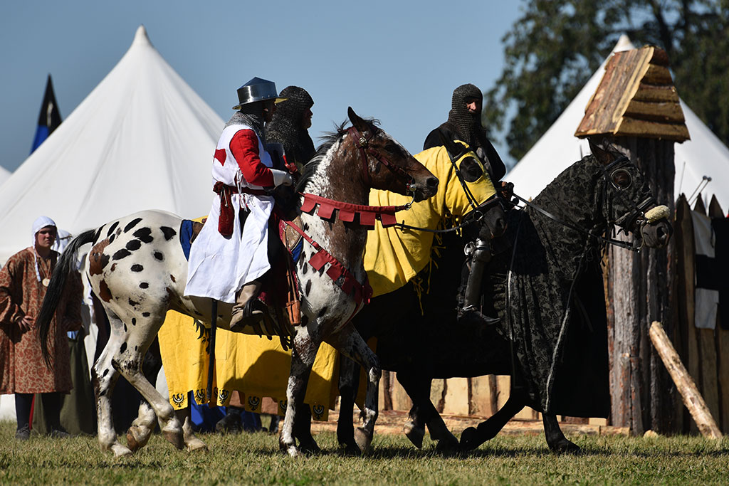 Książę Henryk Pobożny stawił czoła mongolskim najeźdźcom