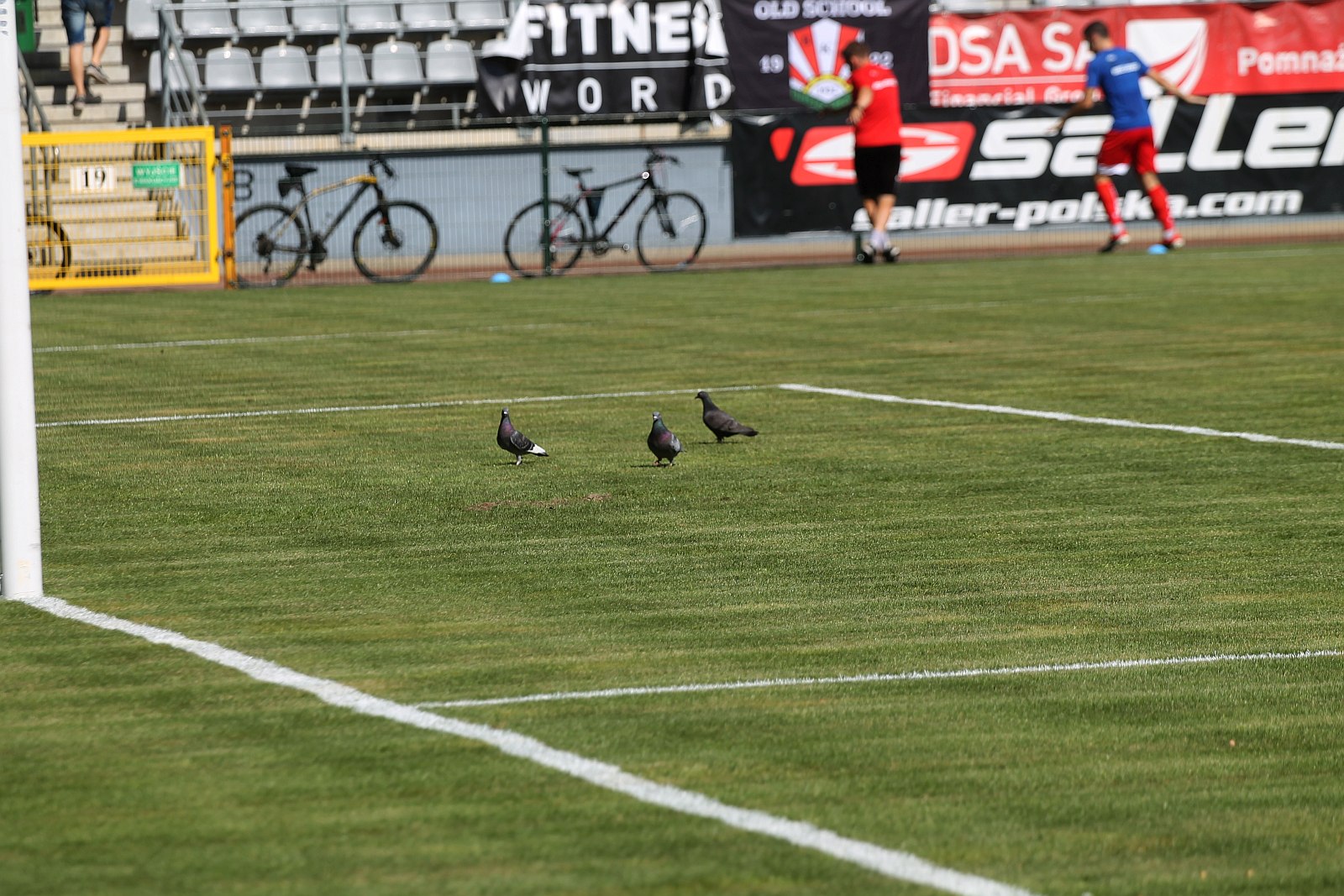 Sparing: Miedź Legnica – Błękitni Stargard Szczeciński 2:1