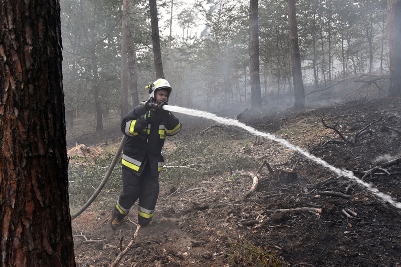 Spłonęło kilka hektarów lasu w Motyczynie