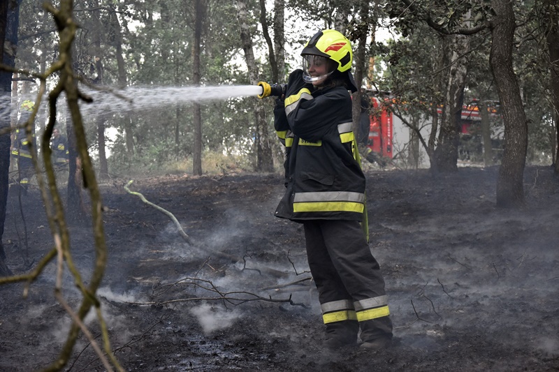 Spłonęło kilka hektarów lasu w Motyczynie