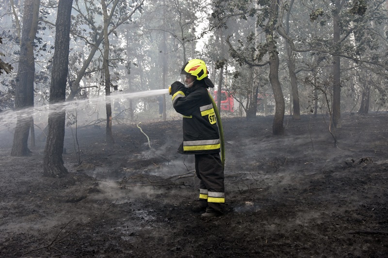 Spłonęło kilka hektarów lasu w Motyczynie