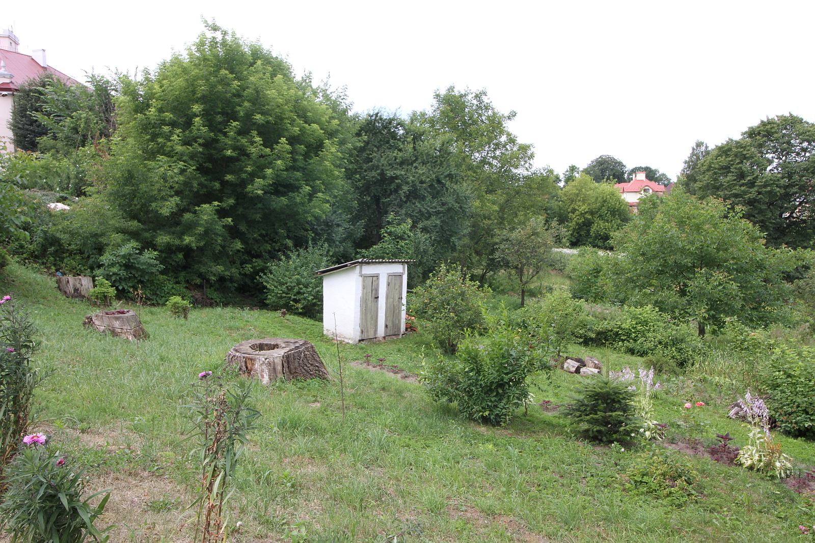 Podziwiajcie piękno Drohobycza – partnerskiego miasta Legnicy