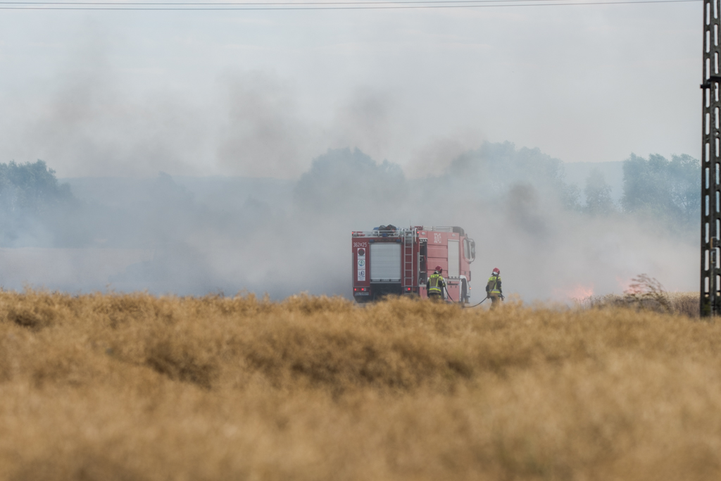Przy ul. Koskowickiej strażacy walczyli z groźnym pożarem