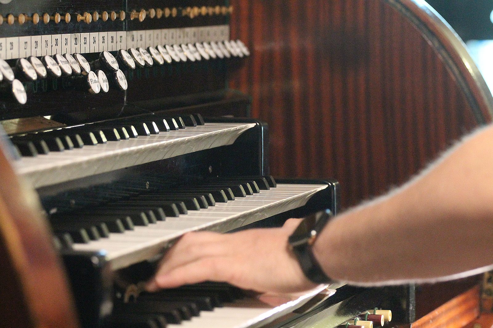 Włoch zagrał na organach w legnickiej katedrze      

