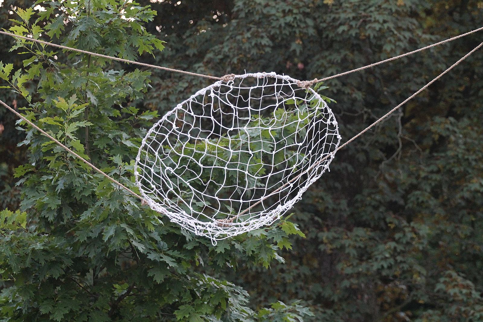 Wystawą w Parku Miejskim rozpoczął się projekt „Zielono mi”
