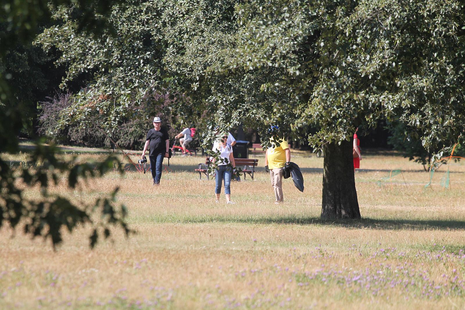 Międzynarodowa ekipa młodzieży porządkowała legnicki park