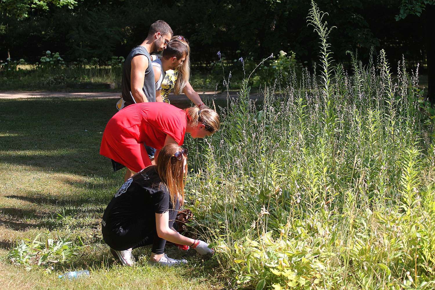 Międzynarodowa ekipa młodzieży porządkowała legnicki park