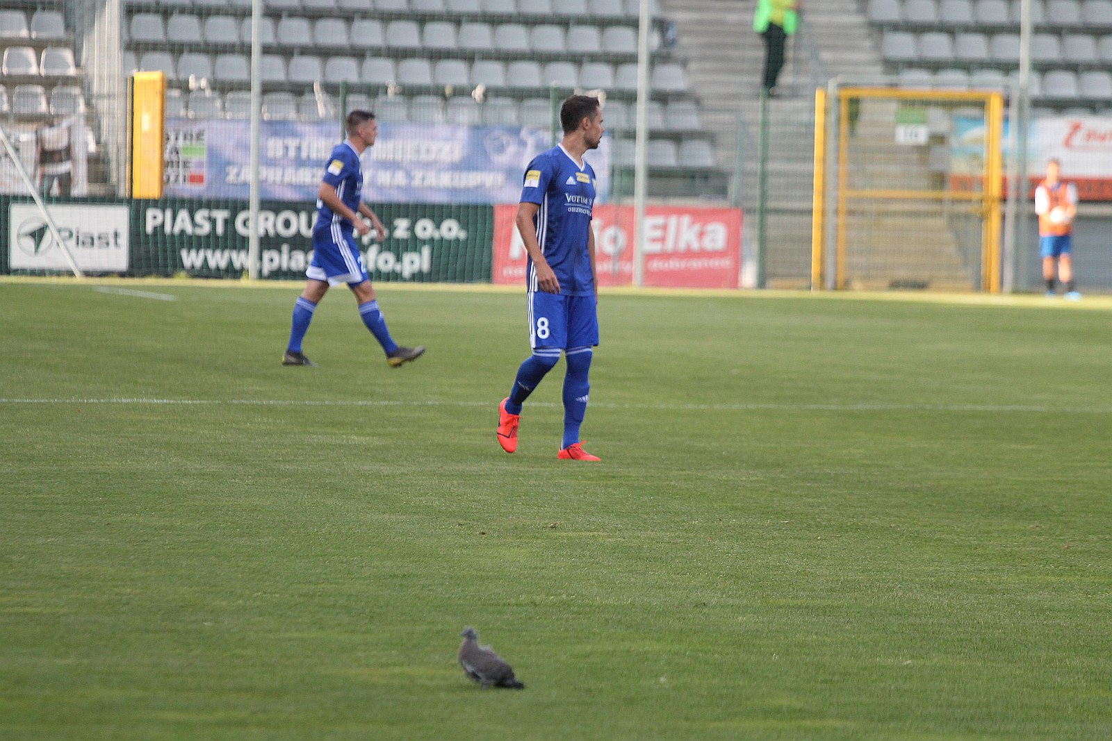 Podział punktów w meczu Miedzi Legnica z Odrą Opole