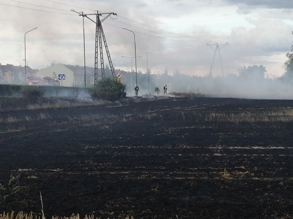Pożar pola na osiedlu Piekary. Zagrożone garaże