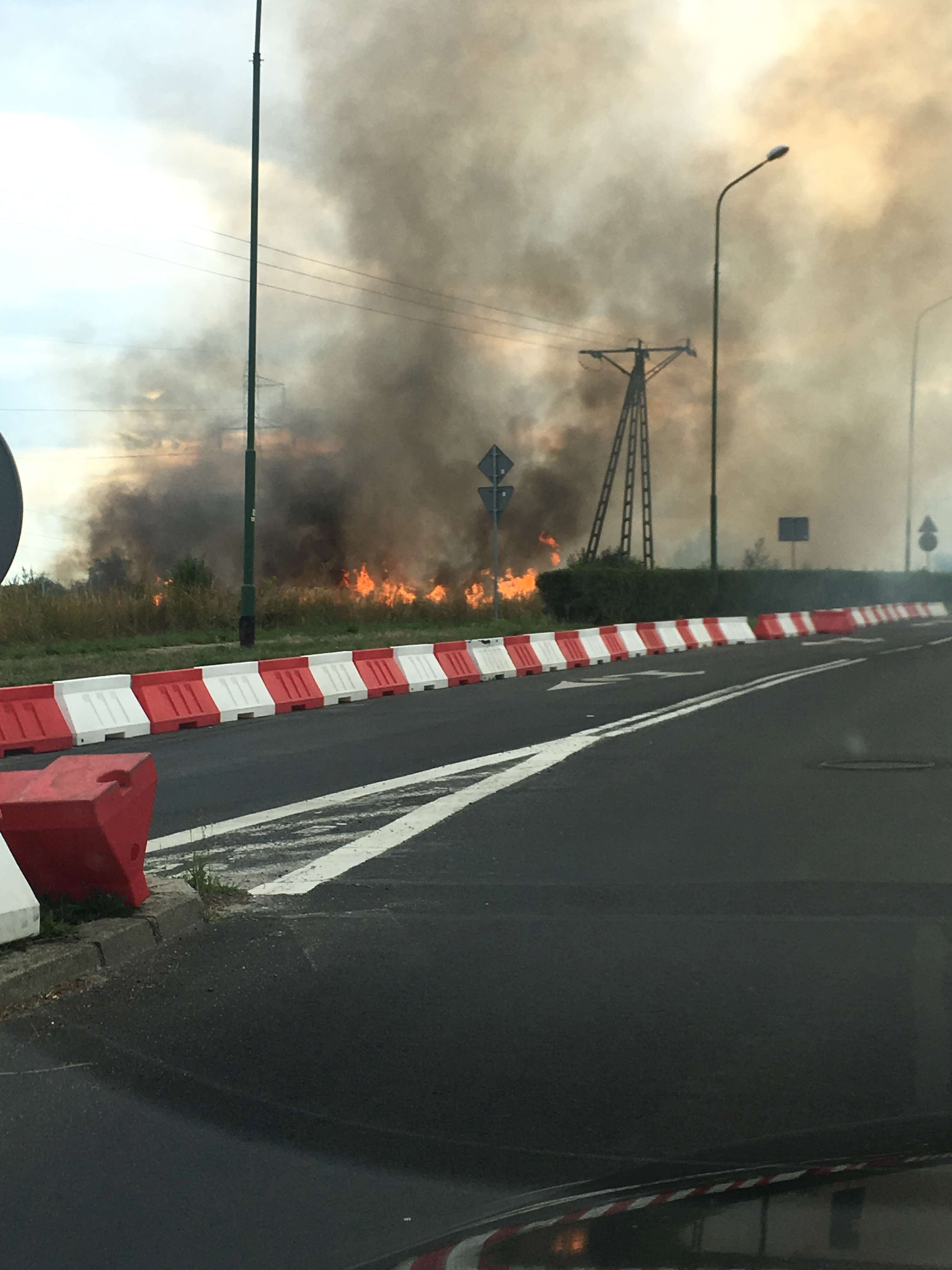 Pożar pola na osiedlu Piekary. Zagrożone garaże