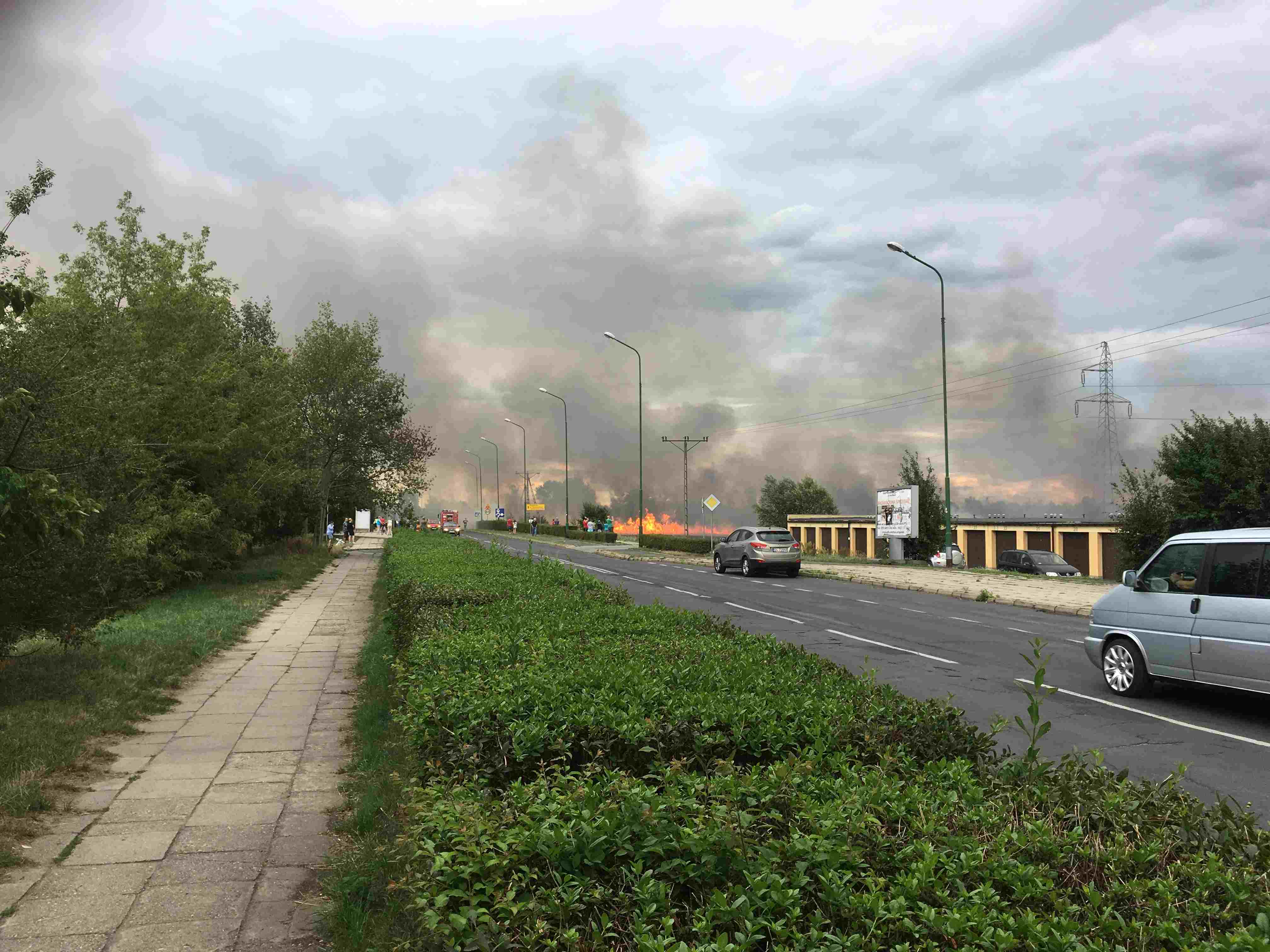 Pożar pola na osiedlu Piekary. Zagrożone garaże