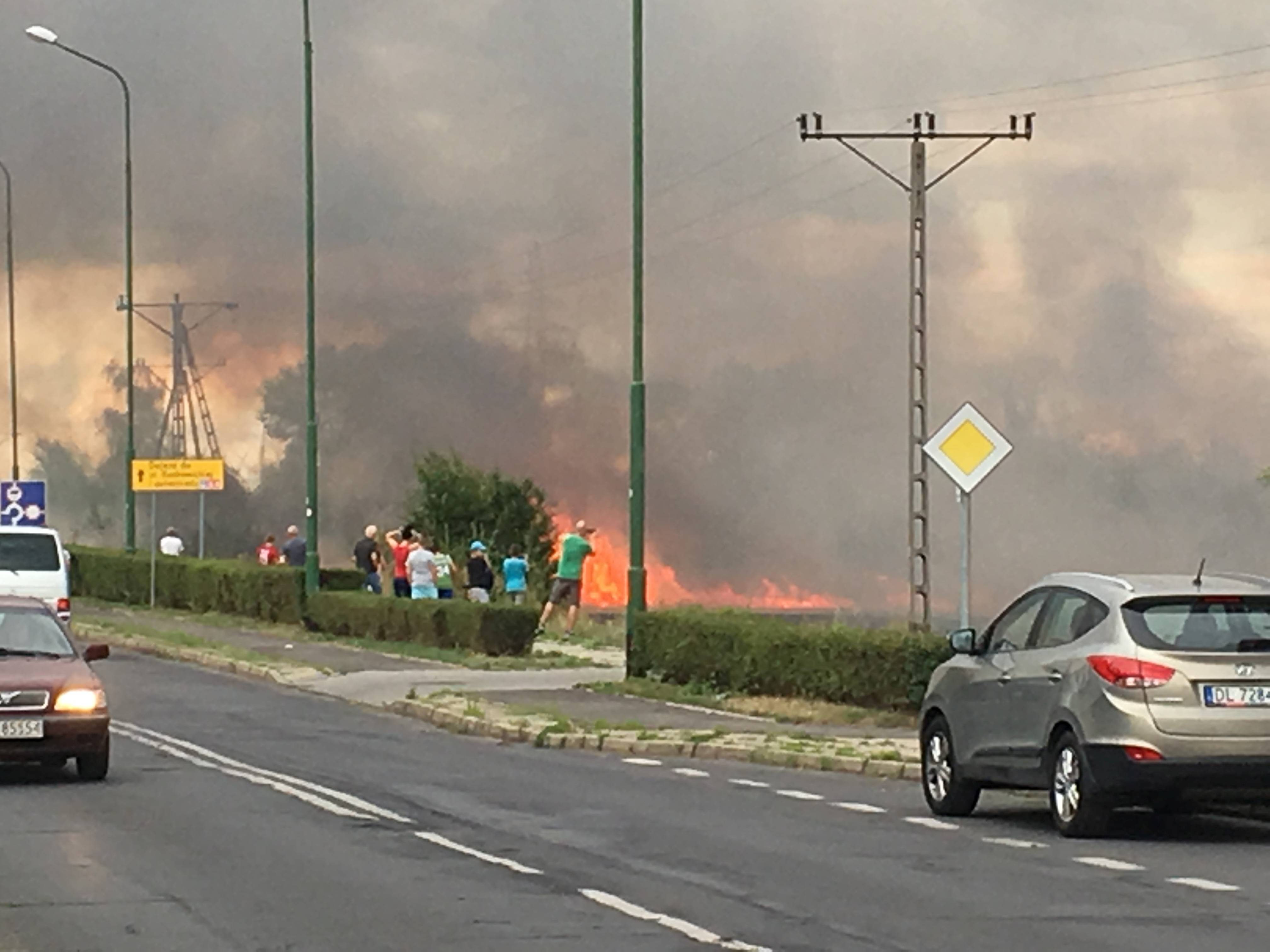 Pożar pola na osiedlu Piekary. Zagrożone garaże